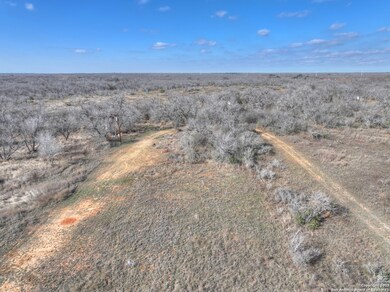 6093 Leal Rd, Pleasanton, TX 78064 - photo 4