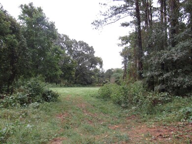 lot 4 view 2