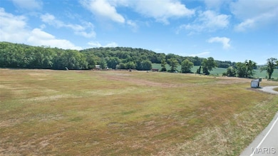 2461 Highway F, Defiance, MO 63341 - photo 5