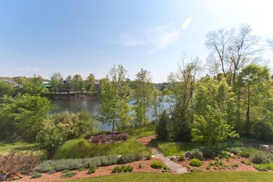 104 view from deck - IMG_1296