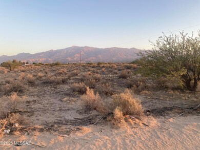 IMG-6201