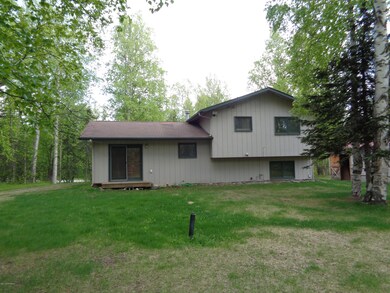 Back view