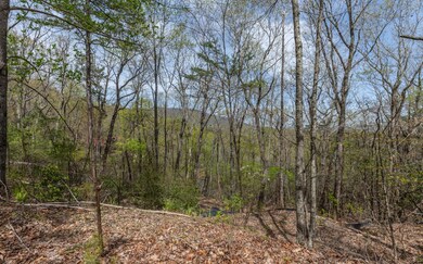 LT 59 Big Creek Mountain, Ellijay, GA 30536 - photo 5