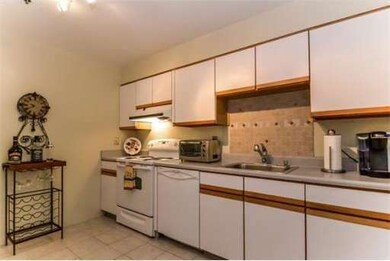 Classical High Condominiums unit 229, Springfield, MA 01103 - photo 4