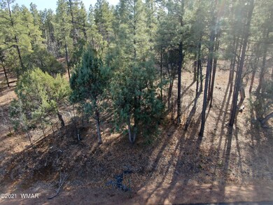 DJI_0863