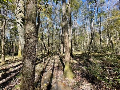 000 Hwy 35, Collins, MS 39428 - photo 5