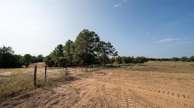 TBD TRACT 8 Cedar Rock Rd, Rosanky, TX 78953 - photo 7