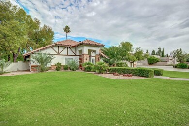 0003-Greentree (3)