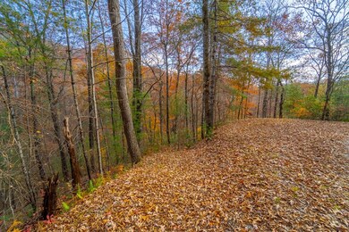 Lot 24 Rivers Edge Trail, Franklin, NC 28734 - photo 7
