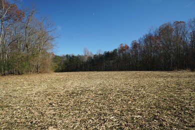Old State Field 2