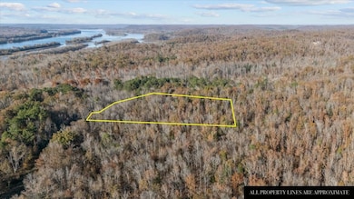 0 Cuba Landing Rd unit RTC3059778, Waverly, TN 37185 - photo 3