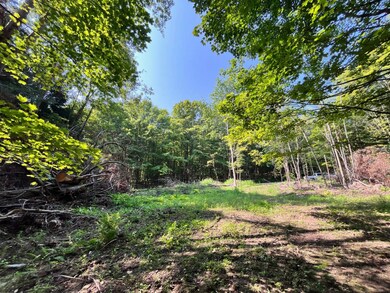 VL Ritter Hollow Rd, New Albion, NY 14719 - photo 6