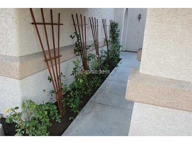 Yard/Garden. Roses along walk-way to front door.