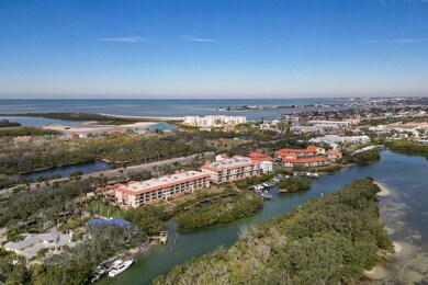 High and Dry Island in the Middle of THE GULF OF AMERICA AND TAMPA BAY. Road to the South takes you to the Entrance to 