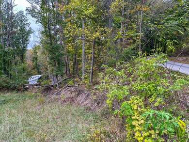 0 Lower Twin Rd, South Salem, OH 45681 - photo 3