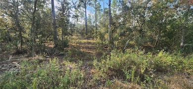 00 SW Edgewater Blvd, Dunnellon, FL 34431 - photo 3