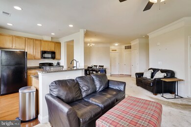 23620 Overlook Park Dr unit 201, Clarksburg, MD 20871 - photo 7