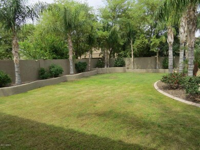 yard