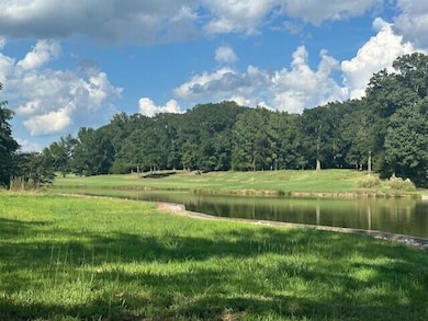 Lot 31 Waverly Dr, West Point, MS 39773 - photo 6