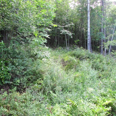 00 South St, Littleton, NH 03561 - photo 3