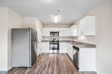 905 Avagail Ave, Springtown, TX 76082 - photo 7