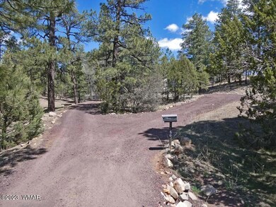 02_driveway2