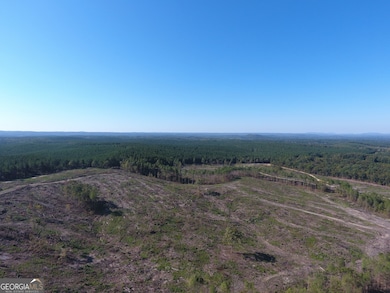 0 Coaling Rd unit 9221 10352063, Cedartown, GA 30125 - photo 7