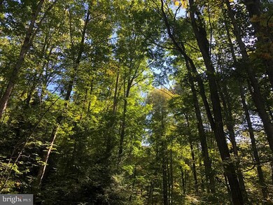 0 100 Jones Hollow Rd unit WVGT103016, Mount Storm, WV 26739 - photo 4