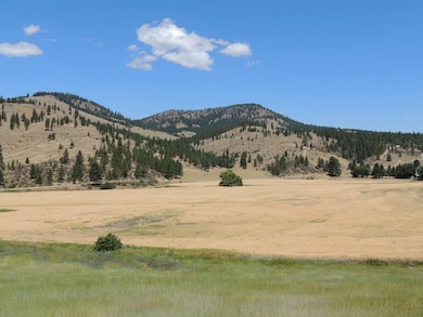 XXX Egypt Loop Rd unit Sunset Mountain Ridg, Davenport, WA 99122 - photo 7