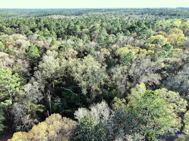 0 Dogwood Fork Rd unit 358700, Bay Minette, AL 36507 - photo 5