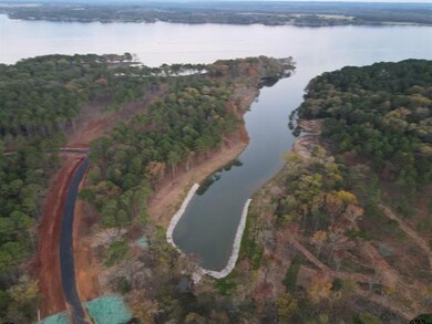 Lot 43 Oak River, Frankston, TX 75763 - photo 5