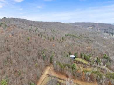 14 College View Rd, Dickinson, NY 13905 - photo 5