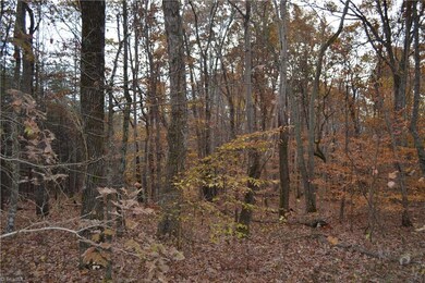 15 Acres N Carolina Highway 704 E, Sandy Ridge, NC 27046 - photo 6