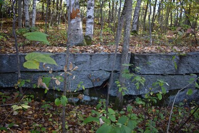 00 Pillsbury St, Enfield, NH 03748 - photo 2