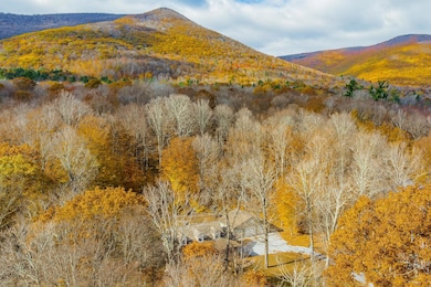 181 White Tail Run, Arlington, VT 05250 - photo 2