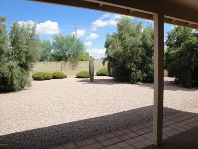 2140 rear yard 2