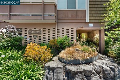 2601 College Ave unit 301, Berkeley, CA 94704 - photo 4