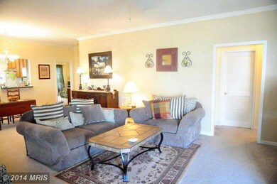 7007 Summit Ln, Fredericksburg, VA 22407 - photo 5