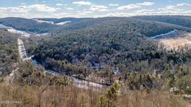 0 Salem School Rd unit 20-99406, Unityville, PA 17774 - photo 2