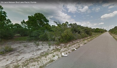 316 Jack Weisser Blvd, Lake Placid, FL 33852 - photo 5