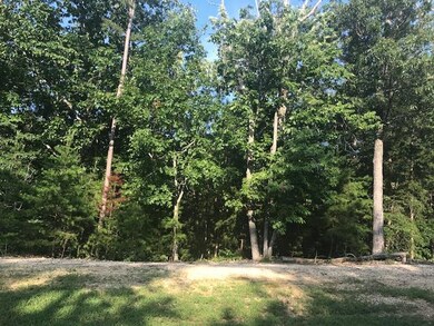 Lot 16-22 Wexford Place, Cohutta, GA 30710 - photo 4