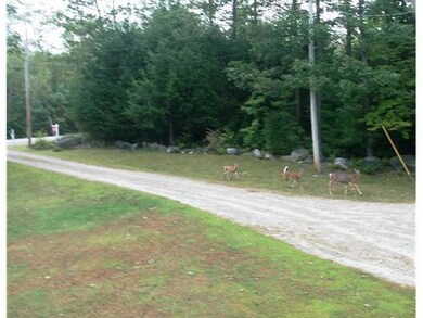 Yard/Garden. friends of the family