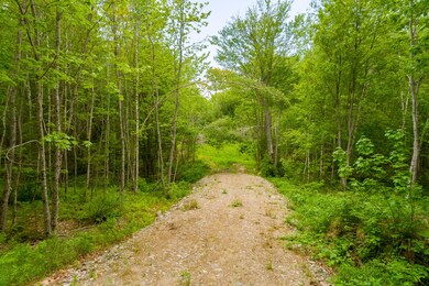 (15)_Lot 12, Sproul Hill Rd. Bristol, ME