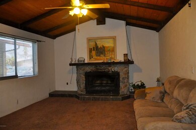 Wood Burning Fireplace