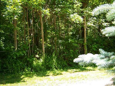 Exterior Front. Across the private drive is the woods bordering Wendt Beach Park.