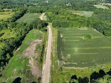 Parcel 4 Sycamore St, Dryden Township, MI 48428 - photo 7