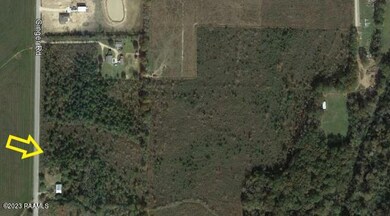 0 Tbd Ginger Rd, Iota, LA 70543 - photo 3