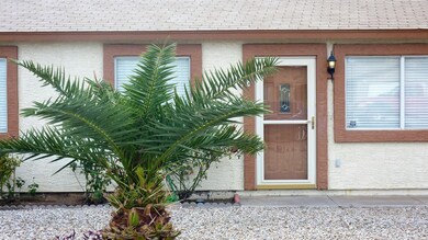 P1060537 (2)