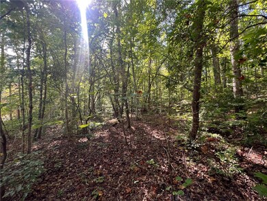 Tract 1-B C H 66, Tamassee, SC 29686 - photo 6