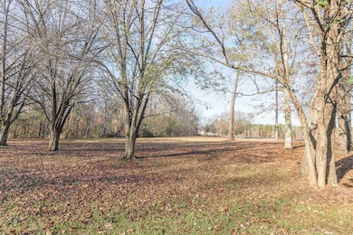 8453 Hwy 45 S Hwy, Ramer, TN 38375 - photo 5